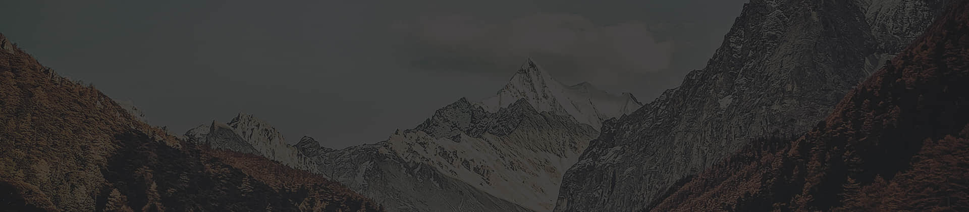 关于MS88明升官网